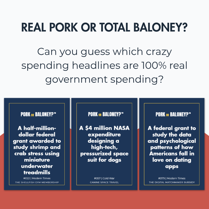 Pork or Baloney?™ — The Hilarious Party Game of Real vs. Fake Government Spending