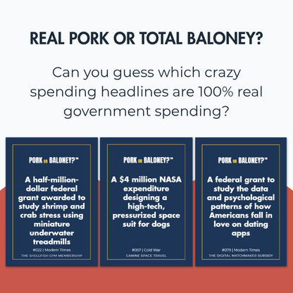 Pork or Baloney?™ — The Hilarious Party Game of Real vs. Fake Government Spending