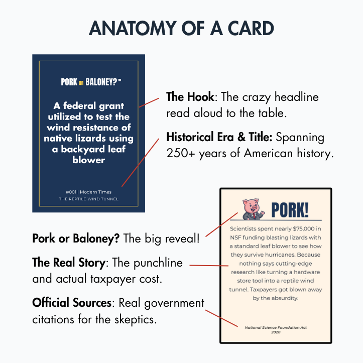Pork or Baloney?™ — The Hilarious Party Game of Real vs. Fake Government Spending